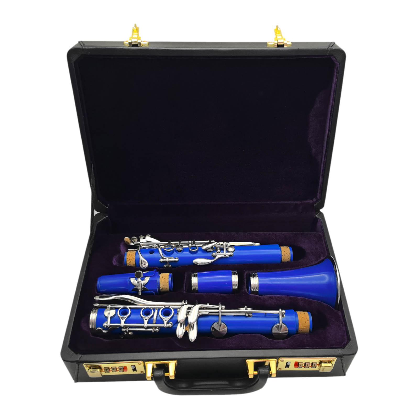 Custodia per Clarinetto BB in  - Travel Accessories Leather recensione e prezzo