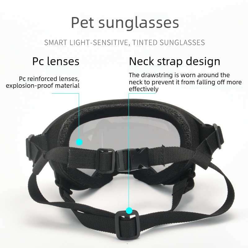 Occhiali Protettivi per Animal - Travel Accessories Ideas recensione e prezzo