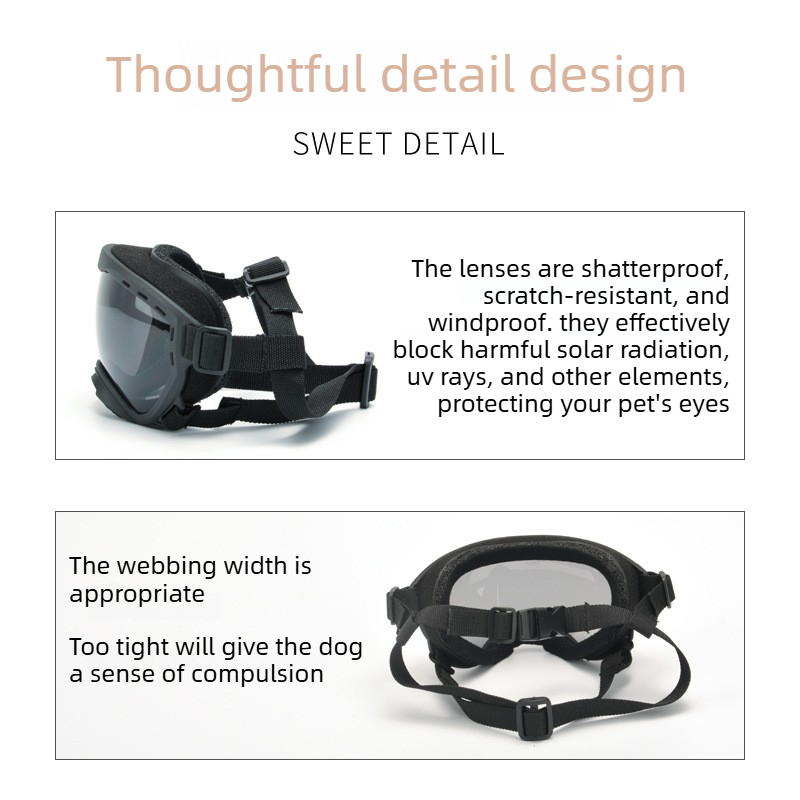 Occhiali Protettivi per Animal - Travel Accessories Ideas recensione e prezzo