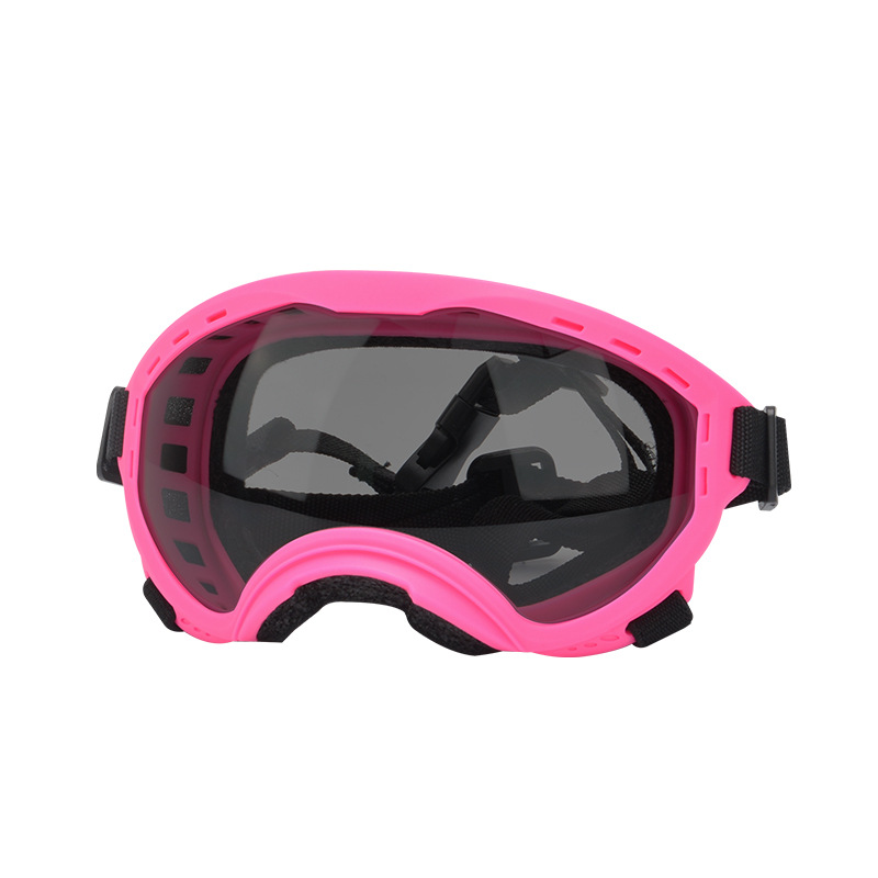 Occhiali Protettivi per Animal - Travel Accessories Ideas recensione e prezzo